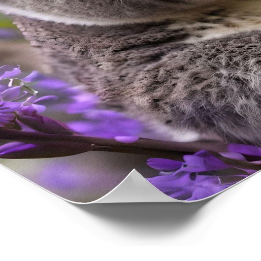 Lila Jacaranda Koala Bear, Poster (Ecke)
