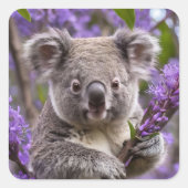 Lila Jacaranda Koala Bear, Quadratischer Aufkleber (Vorderseite)