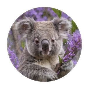 Lila Jacaranda Koala Bear, Schneidebrett