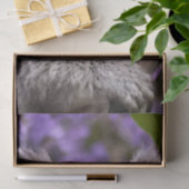 Lila Jacaranda Koala Bear, Seidenpapier (Geschenk)
