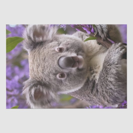 Lila Jacaranda Koala Bear, Seidenpapier (Vorderseite)