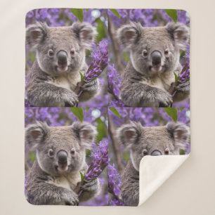 Lila Jacaranda Koala Bear, Sherpadecke