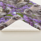 Lila Jacaranda Koala Bear, Sherpadecke (3/4)