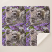 Lila Jacaranda Koala Bear, Sherpadecke (Vorderseite (Horizontal))