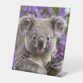 Lila Jacaranda Koala Bear, Sockelschild (Vorderseite)