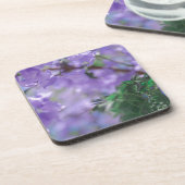 Lila Jacaranda Tree Blume Getränkeuntersetzer (Linke Seite)
