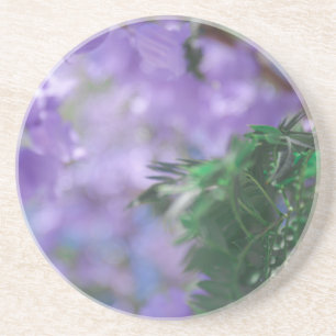 Lila Jacaranda Tree Blume Getränkeuntersetzer