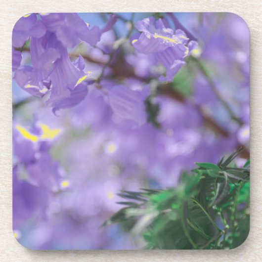 Lila Jacaranda Tree Blume Getränkeuntersetzer (Vorderseite)