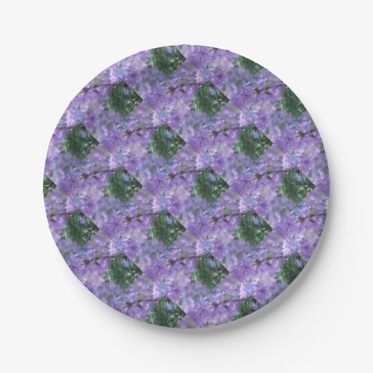 Lila Jacaranda Tree Blume Pappteller (Vorderseite)