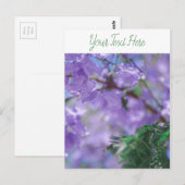 Lila Jacaranda Tree Blume Postkarte (Vorne/Hinten)