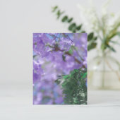 Lila Jacaranda Tree Blume Postkarte (Stehend Vorderseite)