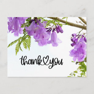 Lila Jacarandablüten Danke Postkarte