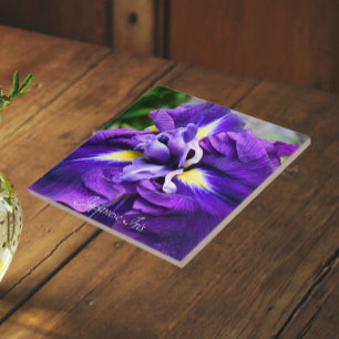 Lila Japanisch Iris Bloom Floral Fliese