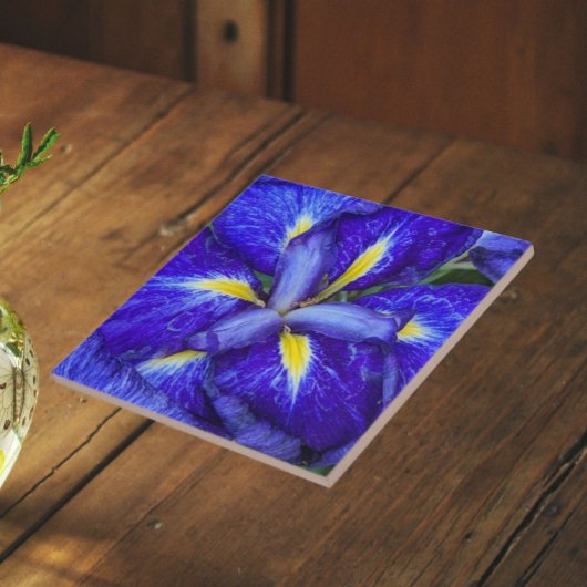 Lila Japanisch Iris Floral Fliese