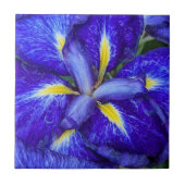 Lila Japanisch Iris Floral Fliese (Vorderseite)