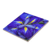 Lila Japanisch Iris Floral Fliese (Seite)