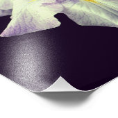 Lila japanische Iris-Blume Nah 8x10 Fotodruck (Ecke)