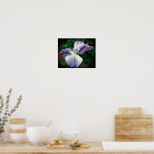 Lila japanische Iris-Blume Poster (Küche)