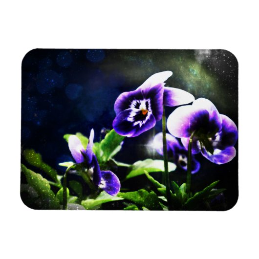 Lila Johnny Jump Ups und Stars Magnet (Horizontal)