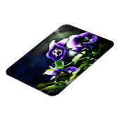 Lila Johnny Jump Ups und Stars Magnet (Linke Seite)