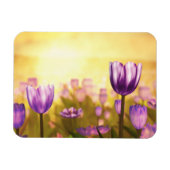 Lila Jubilee Flexible Magnet (Horizontal)