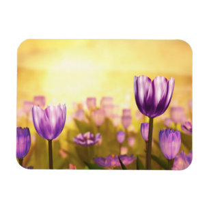 Lila Jubilee Flexible Magnet