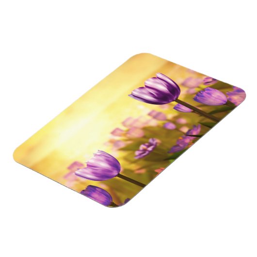 Lila Jubilee Flexible Magnet (Linke Seite)