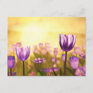 Lila Jubilee Postkarte