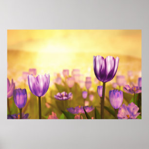 Lila Jubilee Print Poster