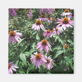 Lila Kaffeemaschine Magnet (Vorne)