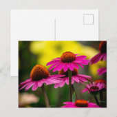 Lila Kaffeemaschine Postkarte (Vorne/Hinten)