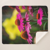 Lila Kaffeemaschine Sherpadecke (Vorderseite (Horizontal))