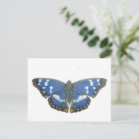 Lila Kaiser 2012 Postkarte (Stehend Vorderseite)