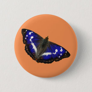 Lila Kaiser-Schmetterling Button