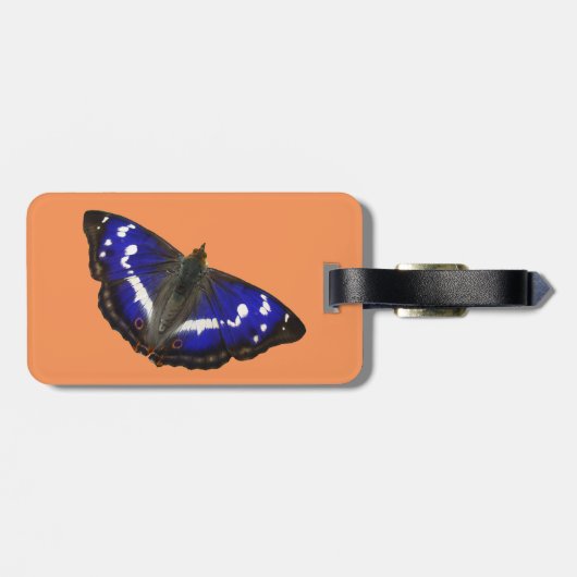 Lila Kaiser-Schmetterling Gepäckanhänger (Rückseite horizontal)