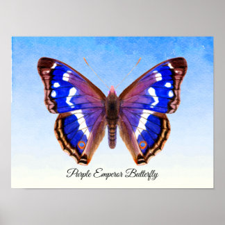 Lila Kaiserbarmherzigkeit Aquarellmalerei Poster