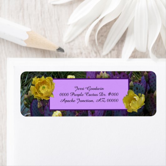 Lila Kakteen mit gelben Blüten (Insitu)