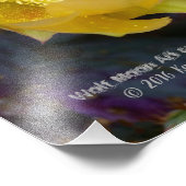 Lila Kakteen-Pantolblumen Fotodruck (Ecke)