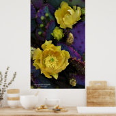 Lila Kakteen-Pantolblumen Poster (Küche)