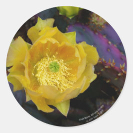 Lila Kakteen-Pantolblumen Runder Aufkleber