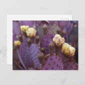 Lila Kaktus Blume Gelbe Blüten Postkarte (Vorne/Hinten)