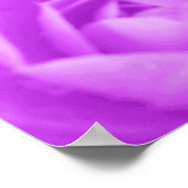 Lila Kamelie Poster (Ecke)