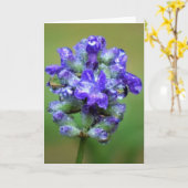 Lila, Karte (Gelbe Blume)