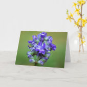 Lila, Karte (Gelbe Blume)