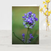 Lila, Karte (Gelbe Blume)