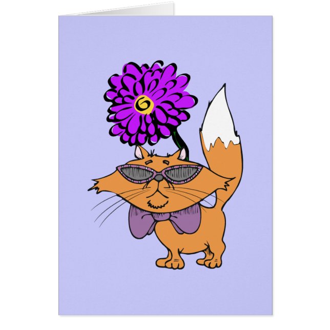 Lila Katzen-Typ (Vorne)