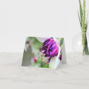 Lila kaum Fuchsia Feiertagskarte