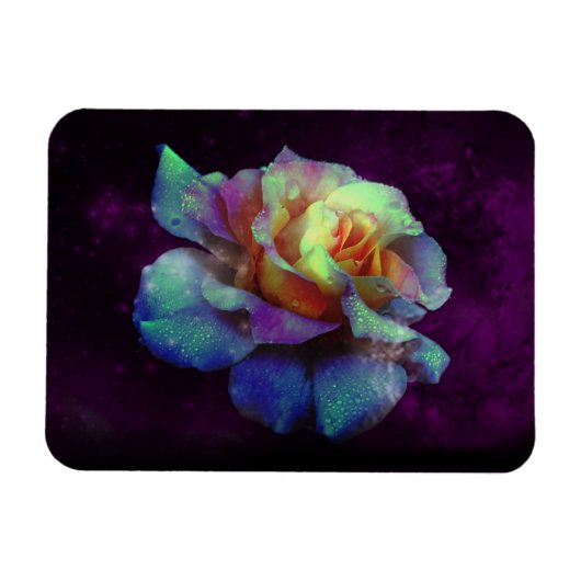 Lila-Kisser-Rose-Magnet Magnet (Horizontal)