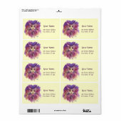 LILA KITTEN, KITTKÜCHENPORTRAIT, Creme (Vorne)