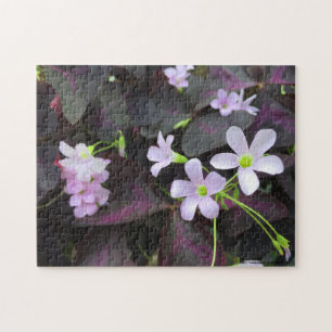 Lila Kleeblatt Blooms Fotografie Puzzle